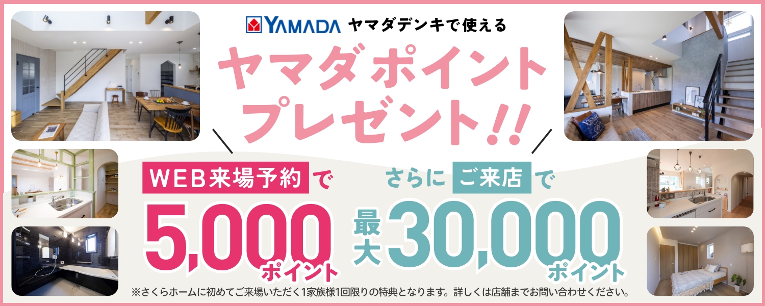 ヤマダポイントプレゼント