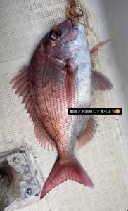 「ついに冬？」