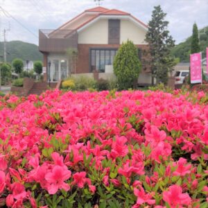 「　朝からウキウキ　」